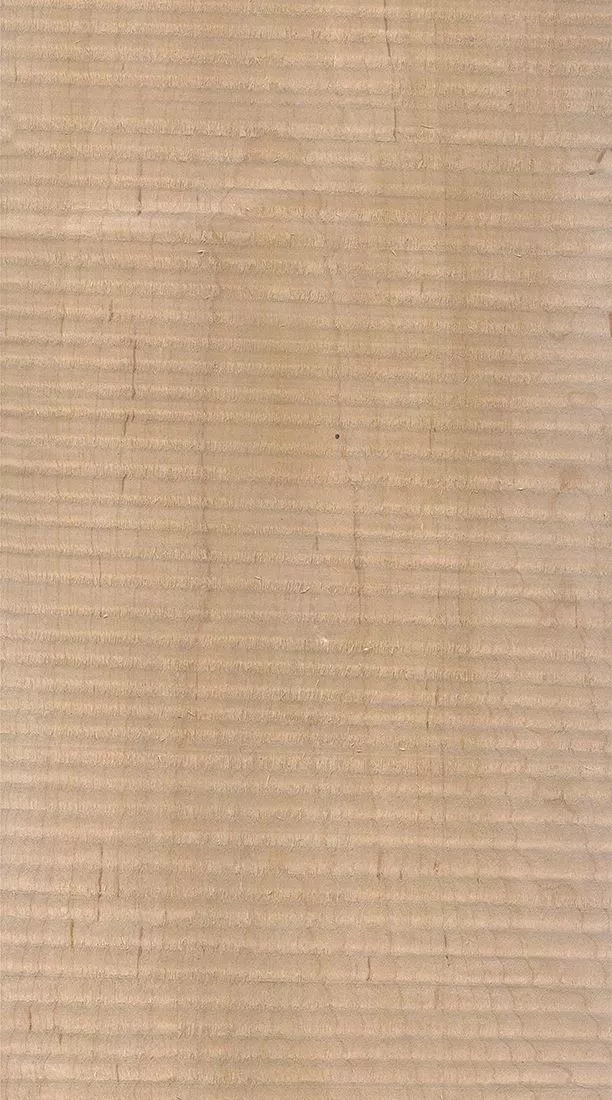 樺木的芯材顏色是淡紅棕色，邊材顏色近白色，板面寬且?guī)в暗哪酒な袌?chǎng)價(jià)格良好，紋理通常是直紋和波浪紋，質(zhì)地均勻，板面有很好的自然光澤度。.webp.jpg