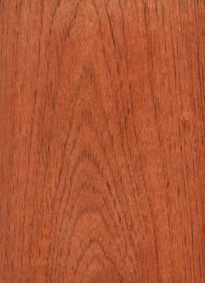 西班牙香杉的芯材為均勻的淺粉色到紅棕色，顏色一般會(huì)隨著樹(shù)木的增長(zhǎng)而加深，通常，木材都自帶樹(shù)脂和有油脂，木材板面看起來(lái)比較普通。紋理通常直，有局部交錯(cuò)，材質(zhì)均勻，天然光澤度一般。.webp.jpg
